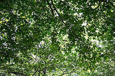 乡村司机叙事模拟器《晨曦》Steam页面上线 支持中文