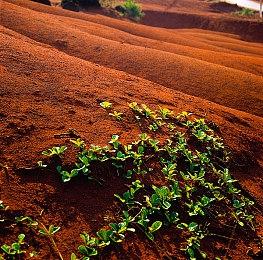 复古动作《钢铁突击》9月28日登陆Switch和Steam